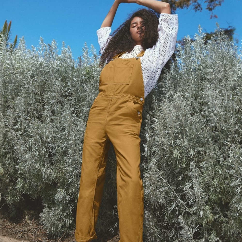 Everlane Canvas Overalls
